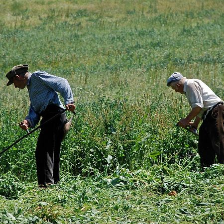 Turisme Rural Lo Palle De Cal Bosch Llagunes Eksteriør bilde