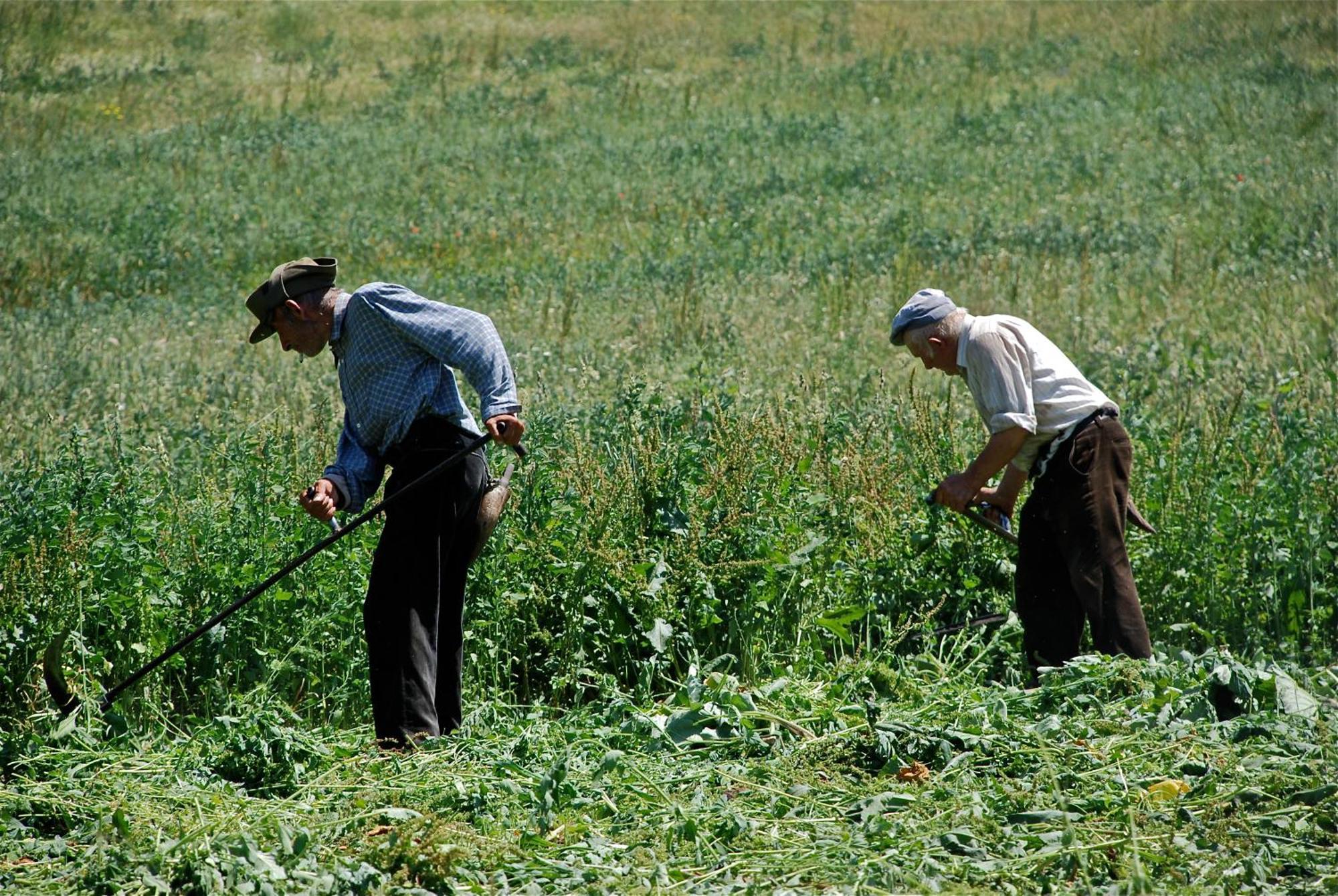 Turisme Rural Lo Palle De Cal Bosch Llagunes Eksteriør bilde